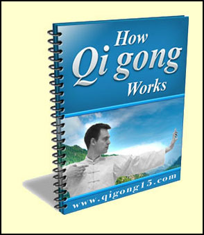 How Qigong Works Report